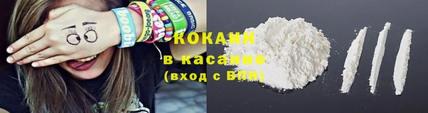 стаф Протвино