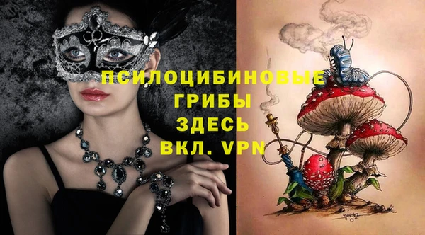 стаф Протвино